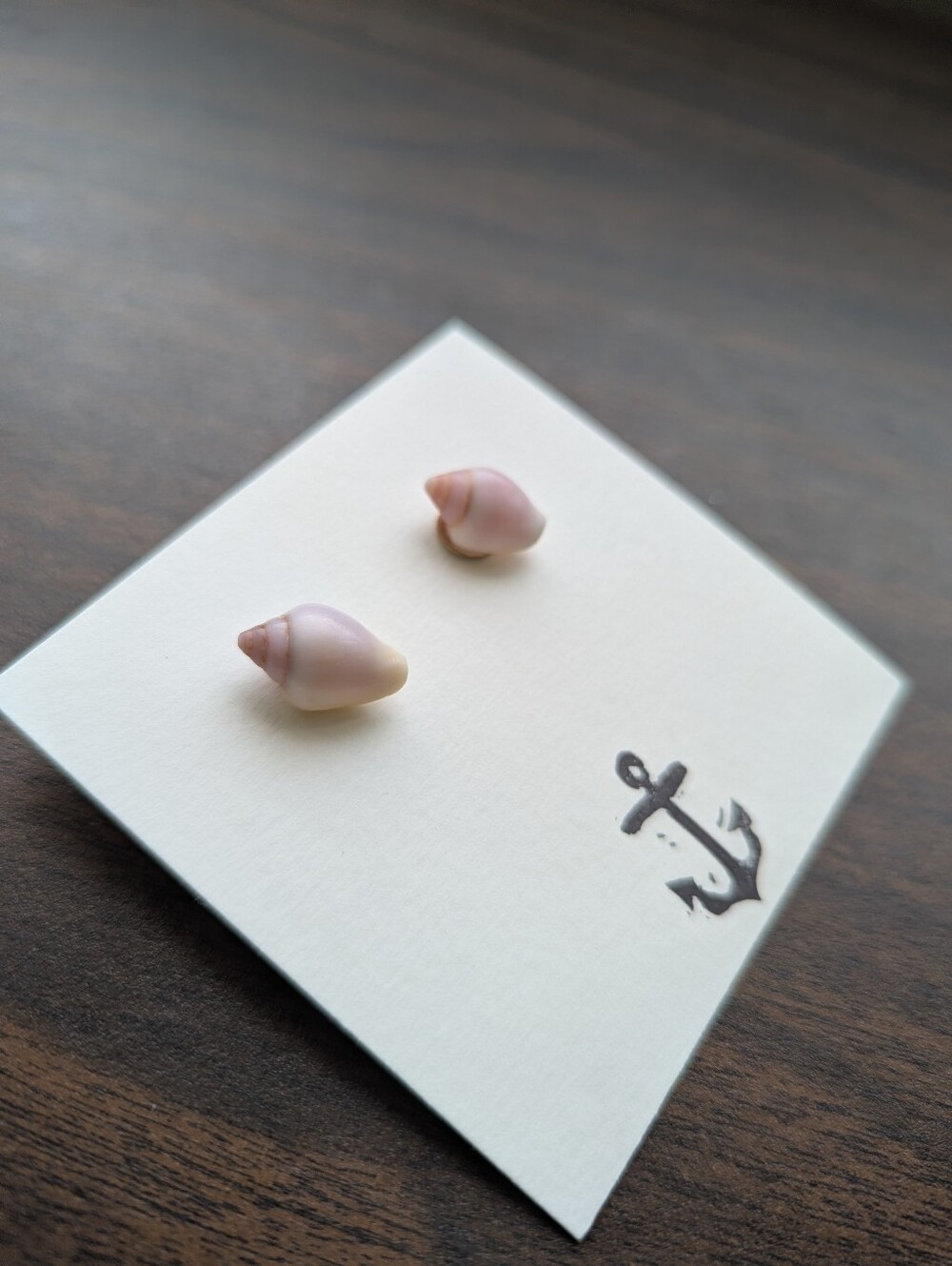 Seashell Stud Earrings